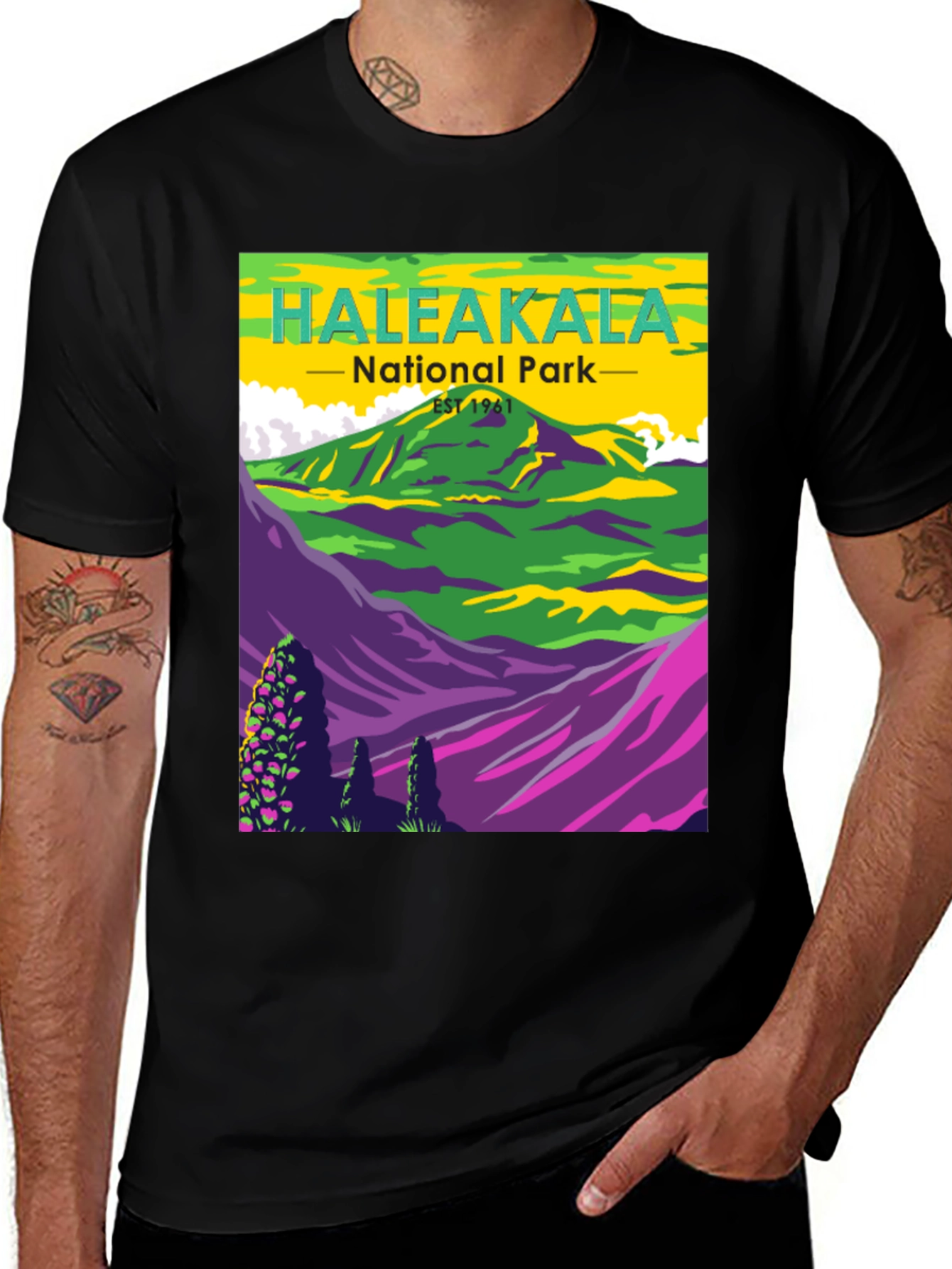 Haleakala National Park Graphic T-Shirt