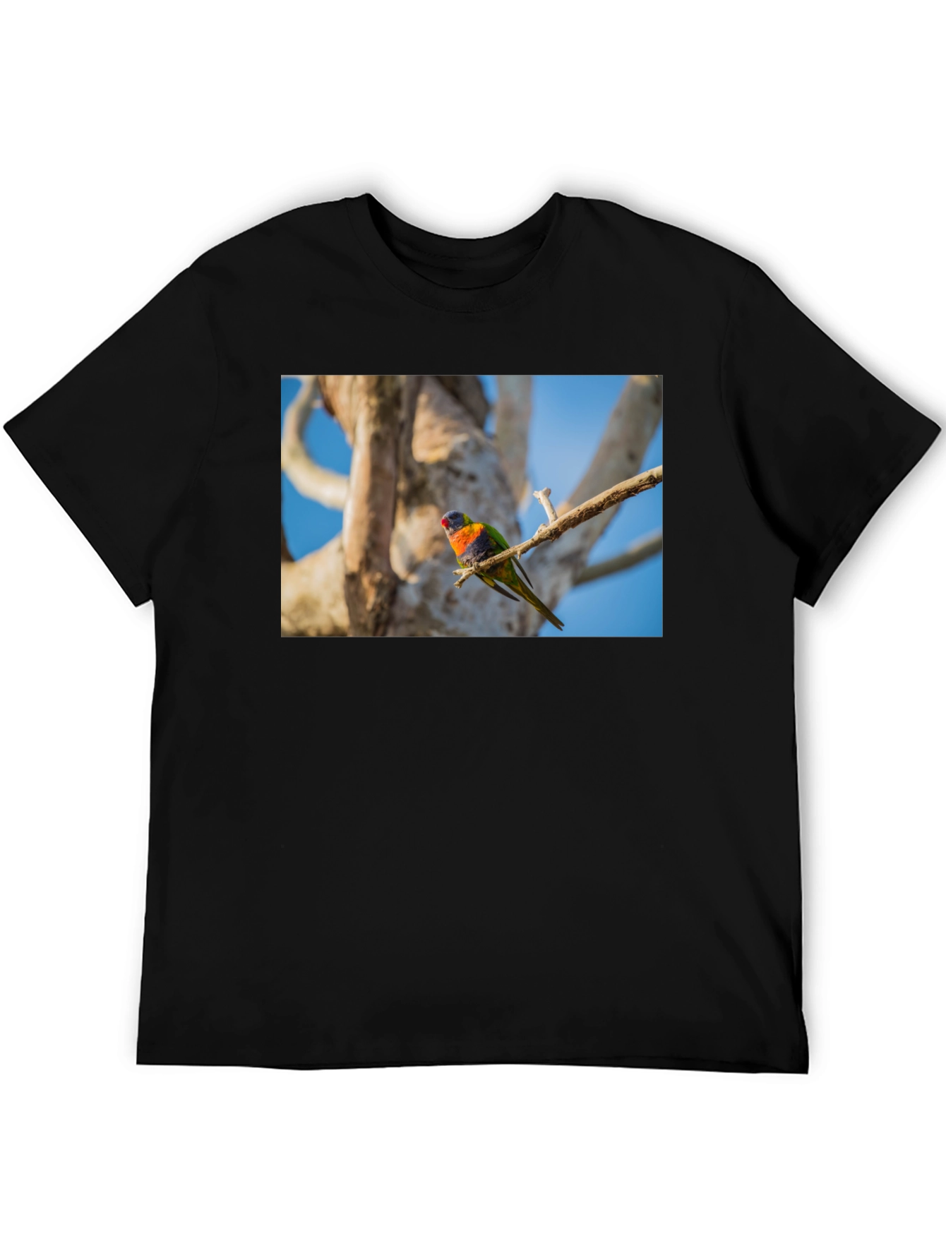Rainbow Lorikeet Bird Graphic Tee