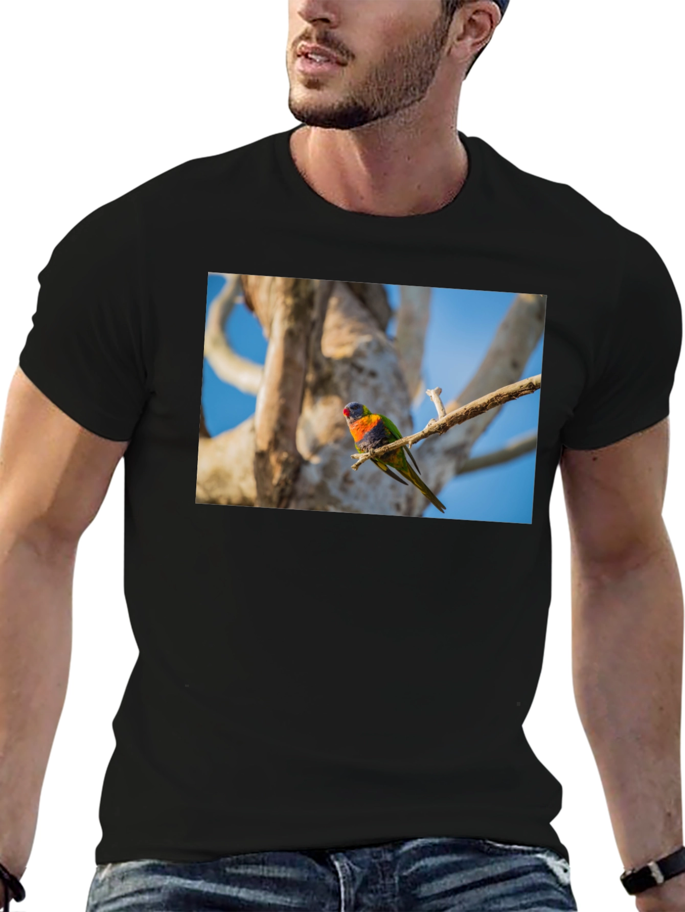 Rainbow Lorikeet Bird Graphic Tee
