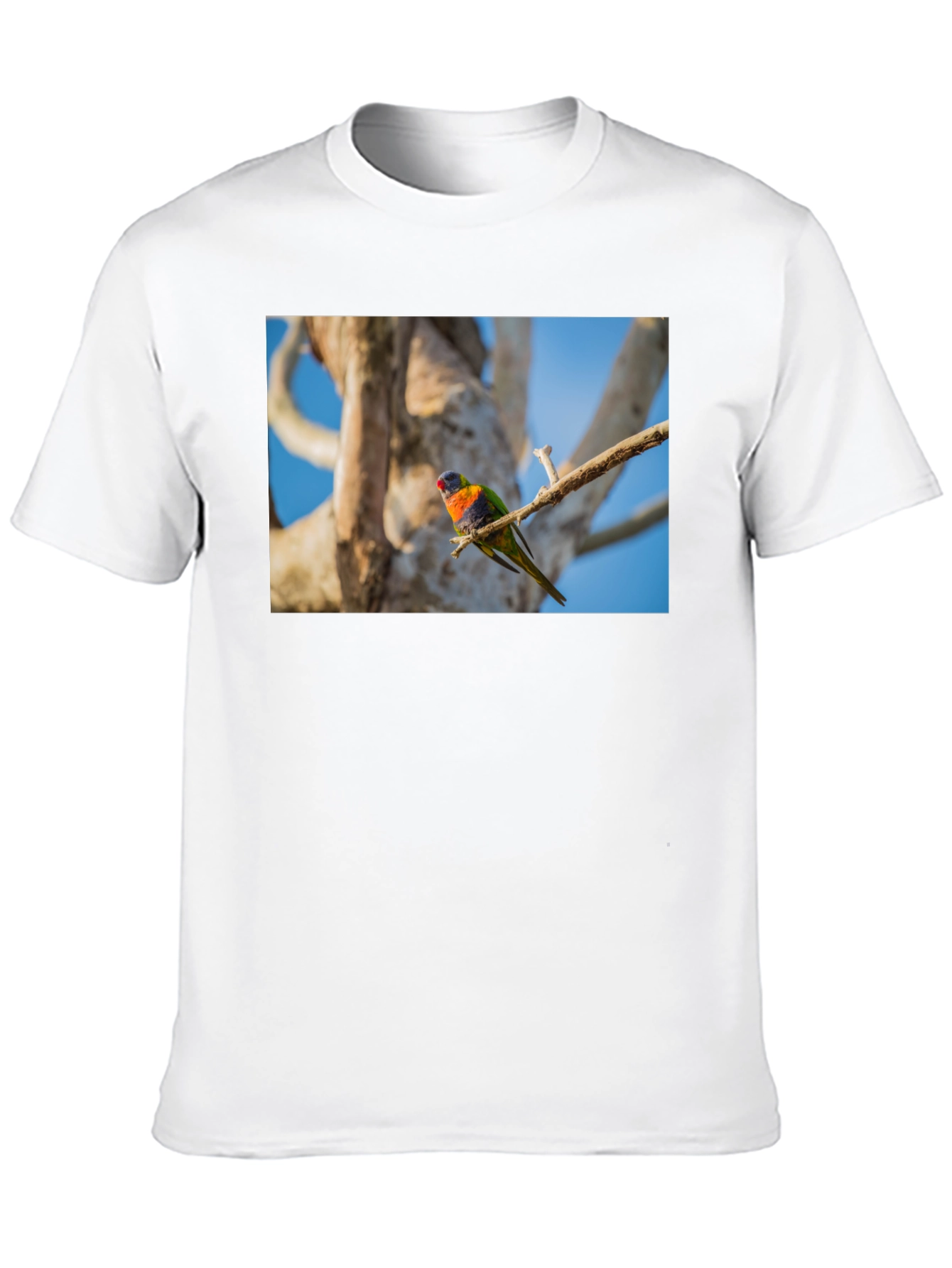 Rainbow Lorikeet Bird Graphic Tee