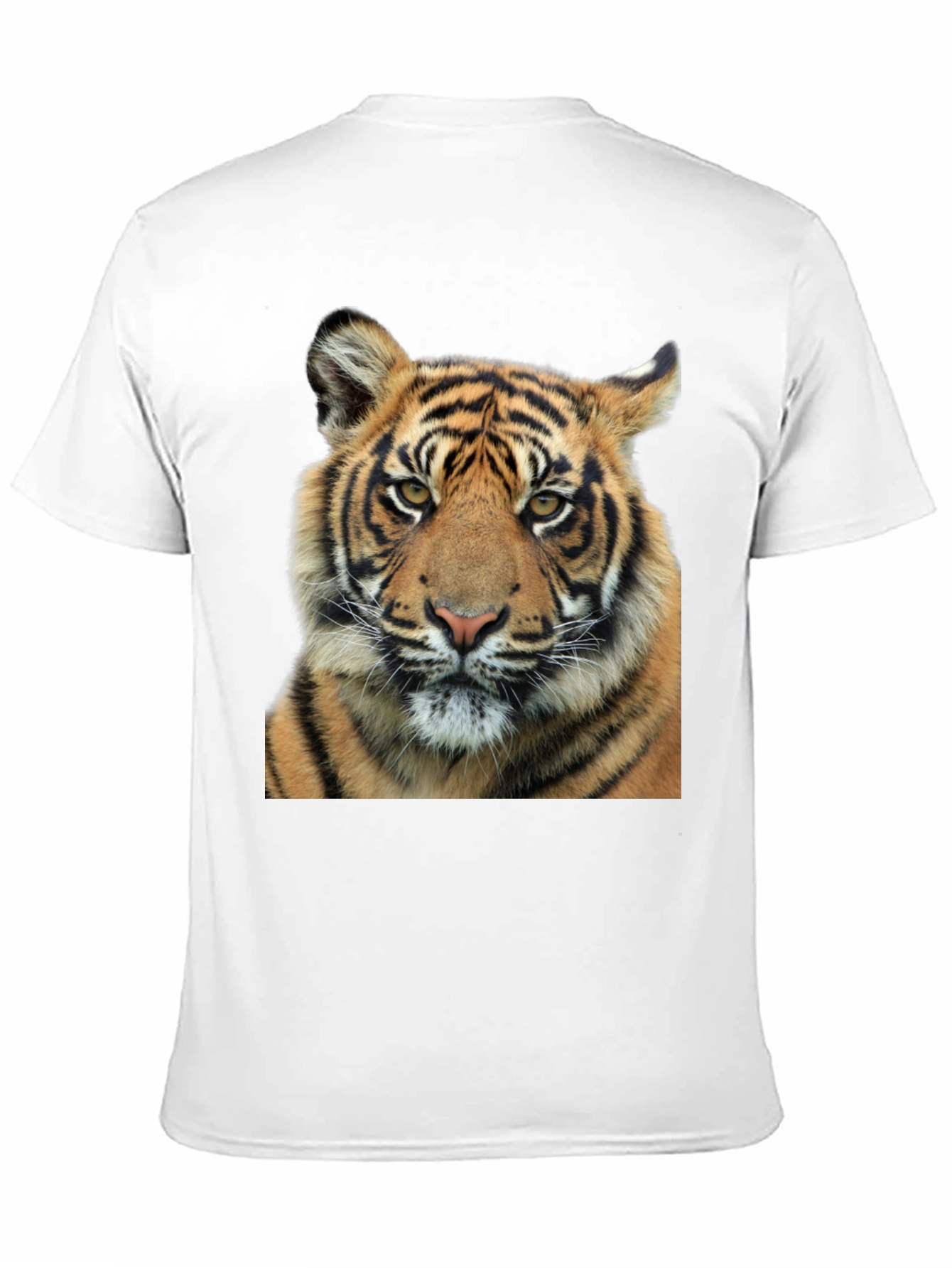 Tiger Graphic Print Black T-Shirt