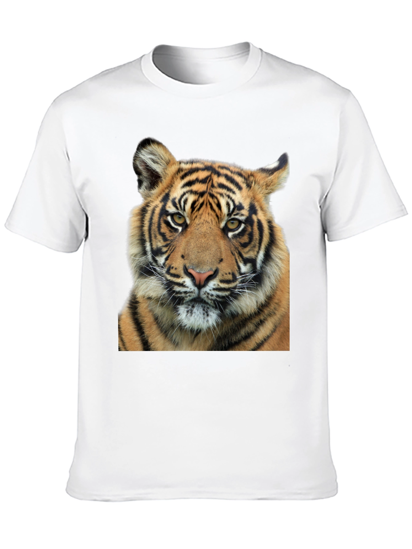 Tiger Graphic Print Black T-Shirt