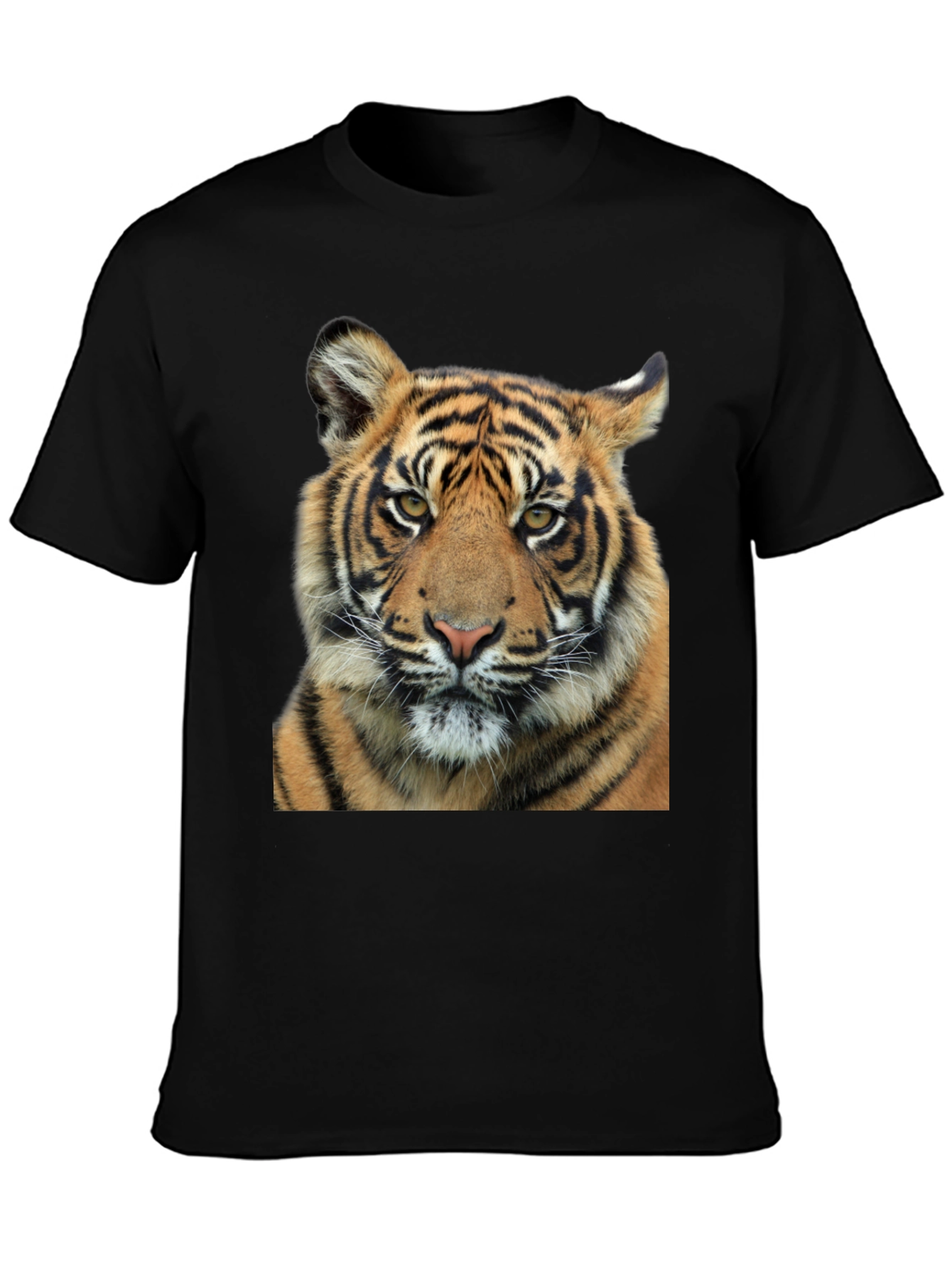 Tiger Graphic Print Black T-Shirt