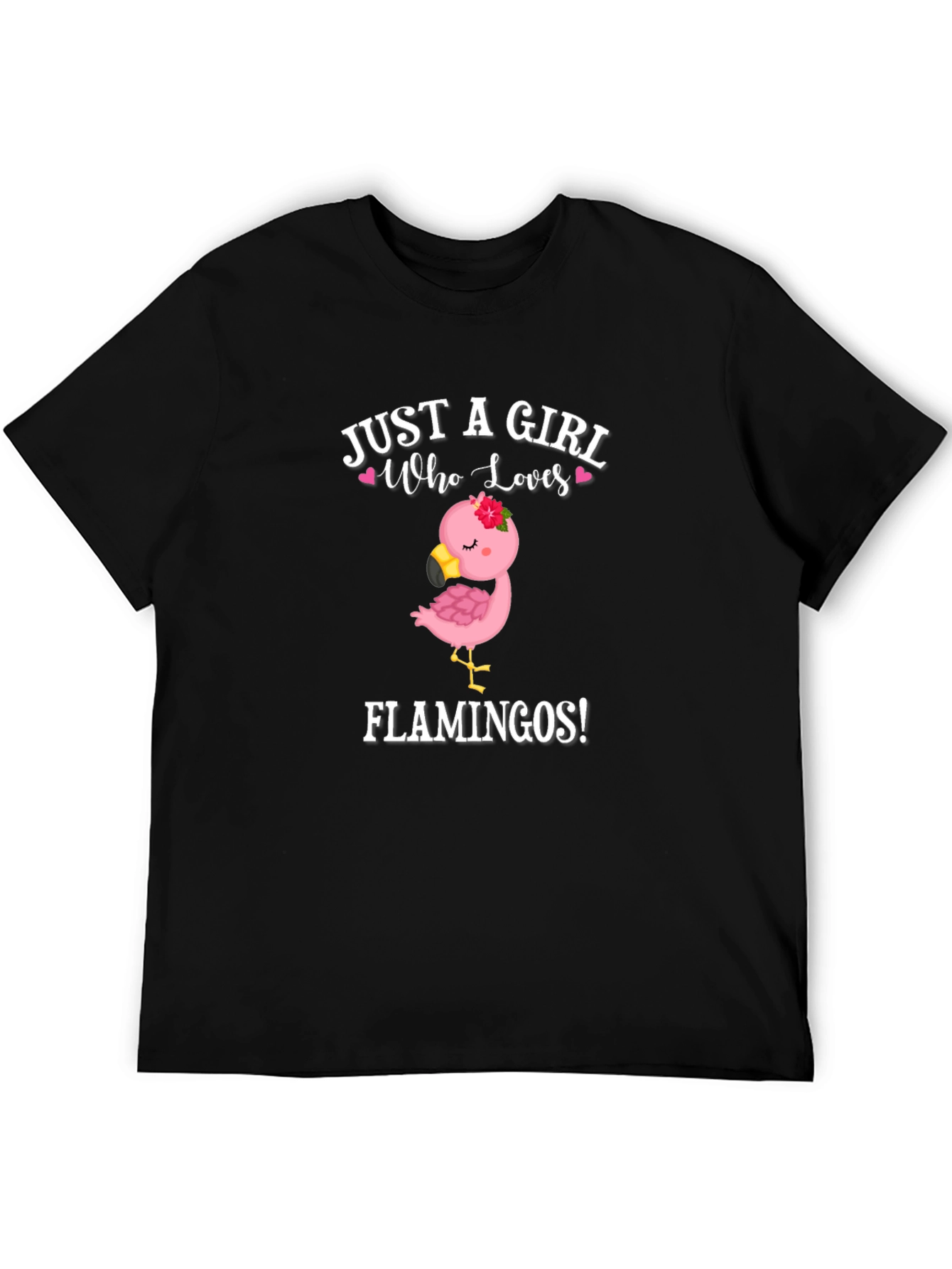 Girl Who Loves Flamingos T-Shirt